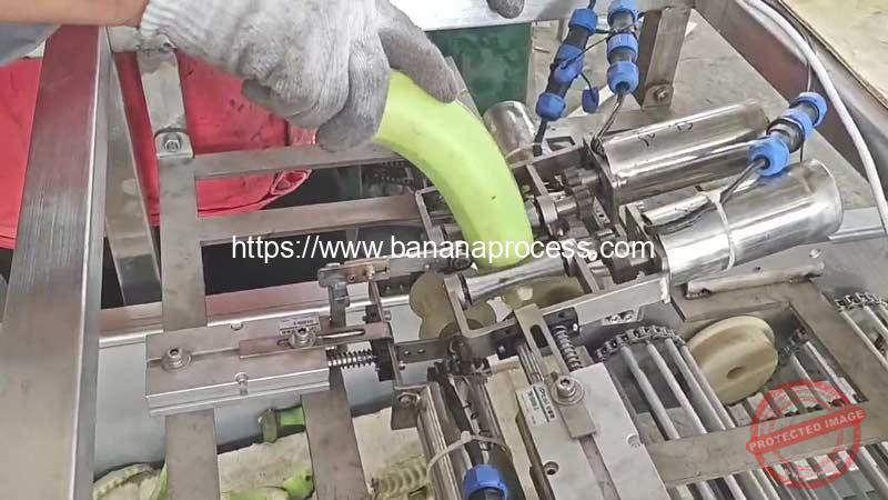 Automatic-Green-Banana-Peeling-Machine-Structure-Show